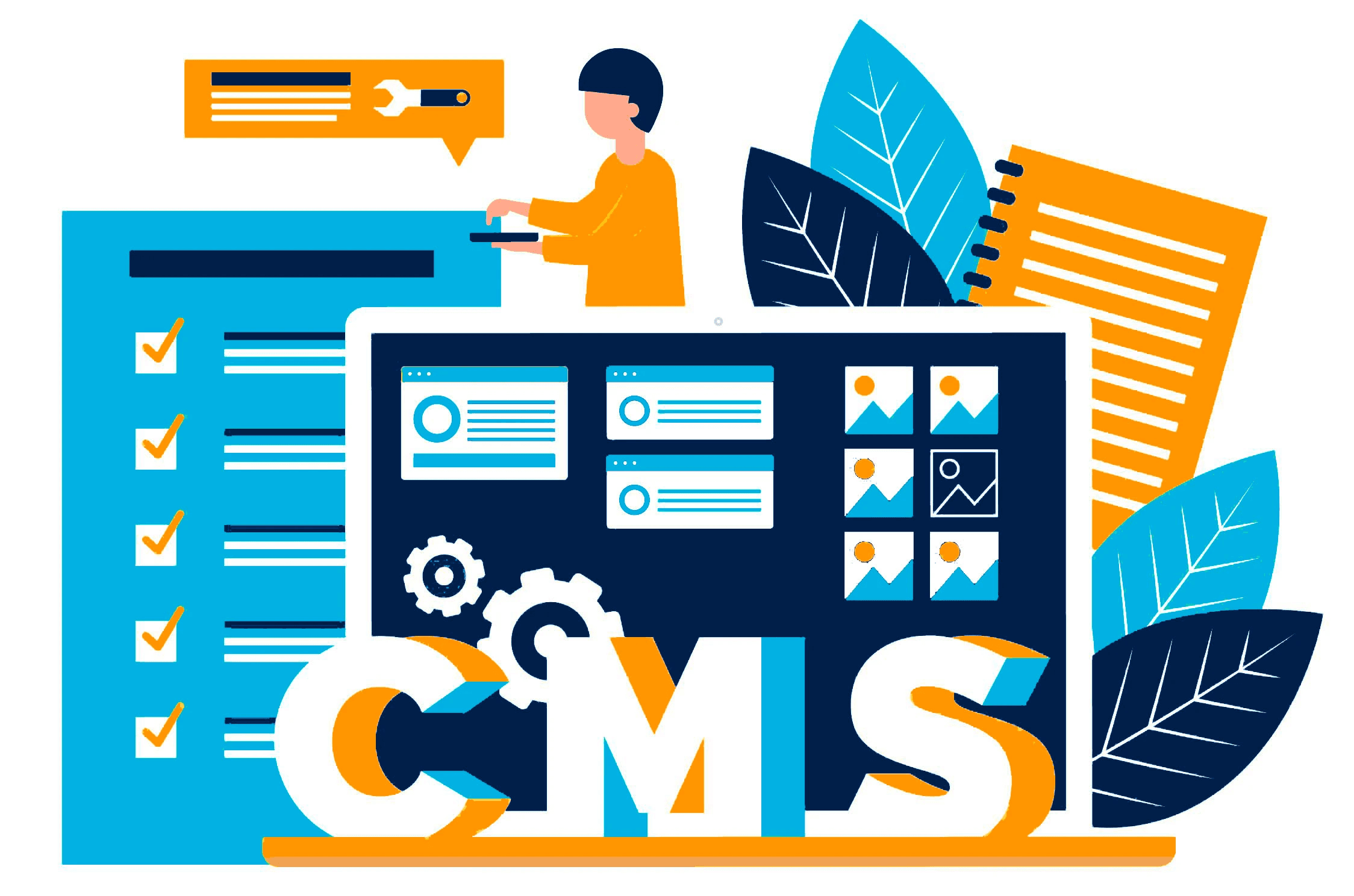 Custom CMS Dashboard Development in Bathinda